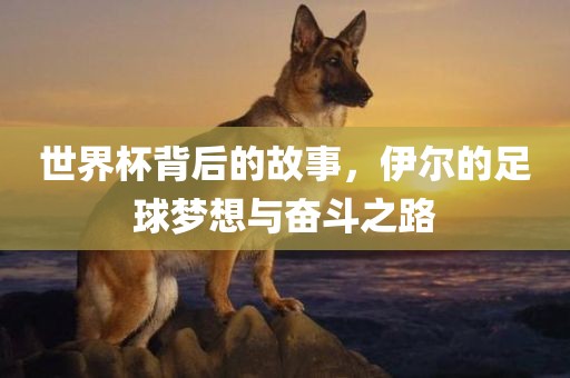 世界杯背后的故事，伊尔的足球梦想与奋斗之路