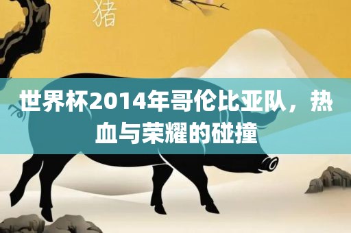 世界杯2014年哥伦比亚队，热血与荣耀的碰撞