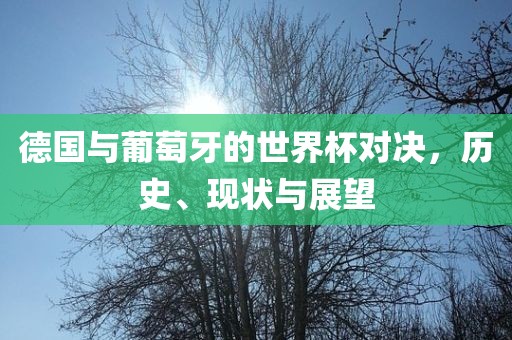 德国与葡萄牙的世界杯对决，历史、现状与展望