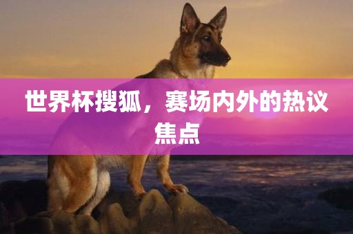 世界杯搜狐，赛场内外的热议焦点