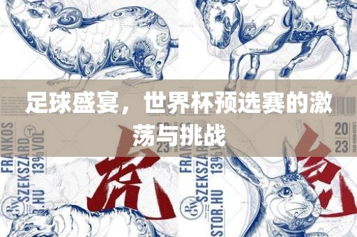 足球盛宴，世界杯预选赛的激荡与挑战