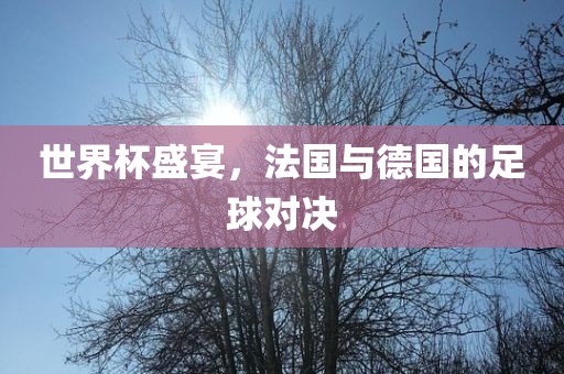 世界杯盛宴，法国与德国的足球对决