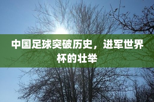 中国足球突破历史,进军世界杯的壮举