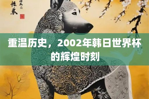 重温历史，2002年韩日世界杯的辉煌时刻