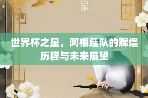 世界杯之星，阿根廷队的辉煌历程与未来展望