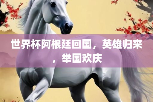 世界杯阿根廷回国，英雄归来，举国欢庆