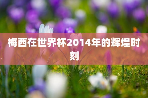 梅西在世界杯2014年的辉煌时刻