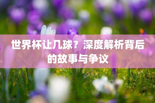 世界杯让几球？深度解析背后的故事与争议