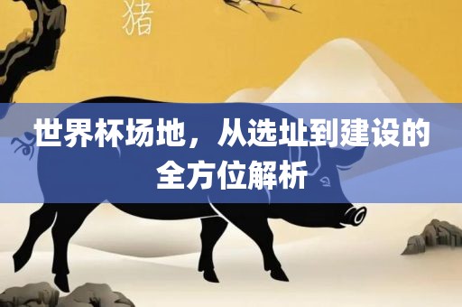 世界杯场地，从选址到建设的全方位解析