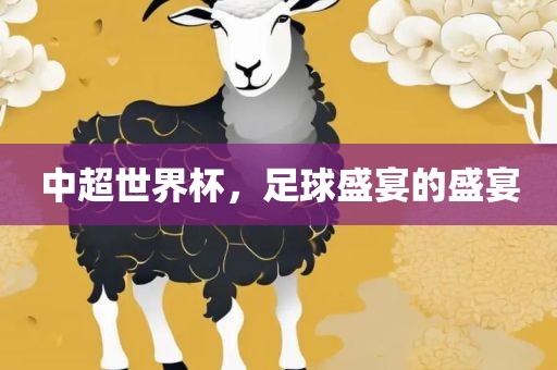 中超世界杯，足球盛宴的盛宴