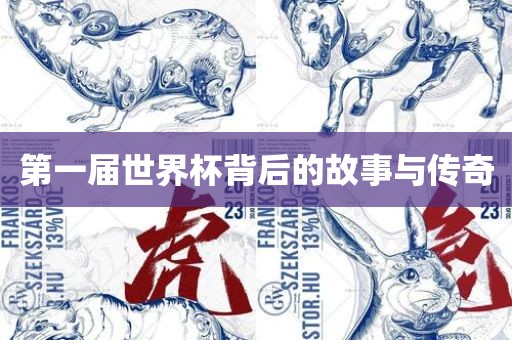 第一届世界杯背后的故事与传奇