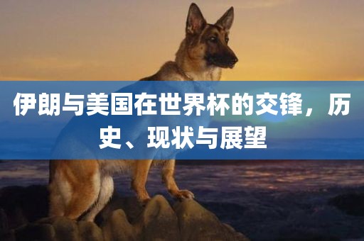 伊朗与美国在世界杯的交锋，历史、现状与展望