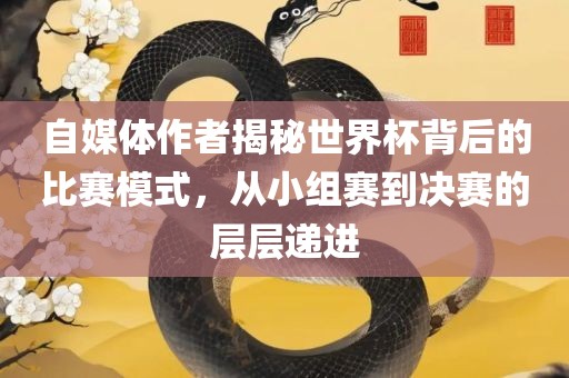 自媒体作者揭秘世界杯背后的比赛模式，从小组赛到决赛的层层递进