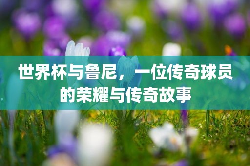 世界杯与鲁尼，一位传奇球员的荣耀与传奇故事