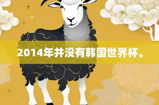 2014年并没有韩国世界杯。