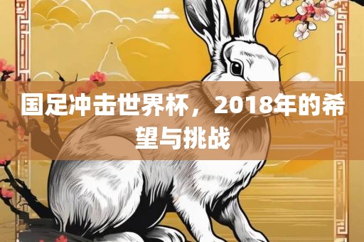 国足冲击世界杯，2018年的希望与挑战