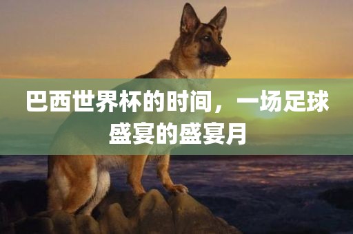 巴西世界杯的时间，一场足球盛宴的盛宴月