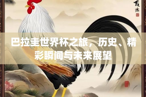 巴拉圭世界杯之旅，历史、精彩瞬间与未来展望