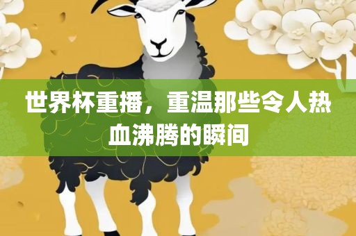 世界杯重播，重温那些令人热血沸腾的瞬间