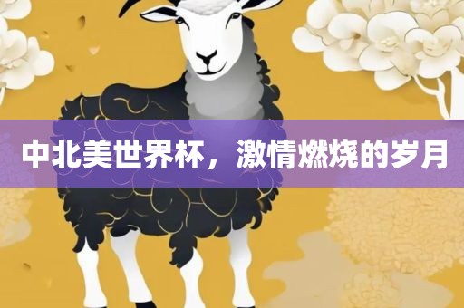 中北美世界杯，激情燃烧的岁月