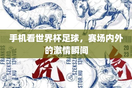 手机看世界杯足球，赛场内外的激情瞬间