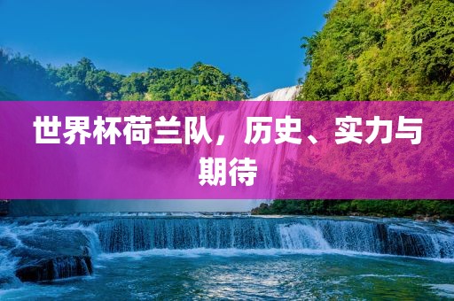 世界杯荷兰队，历史、实力与期待