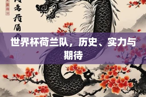 世界杯荷兰队，历史、实力与期待