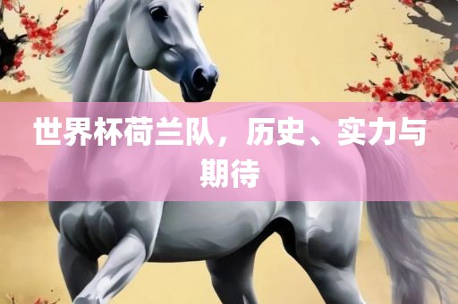 世界杯荷兰队，历史、实力与期待