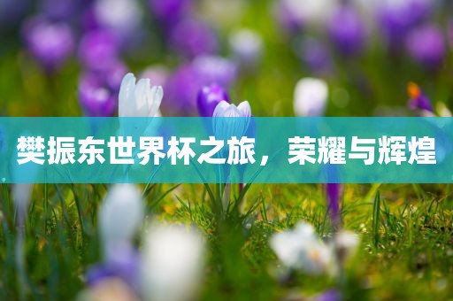 樊振东世界杯之旅，荣耀与辉煌