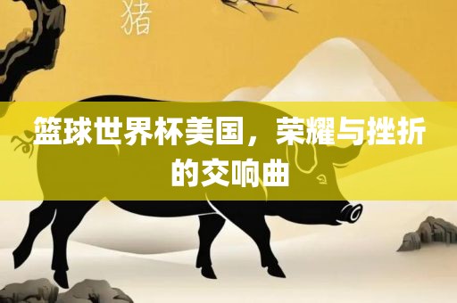 篮球世界杯美国，荣耀与挫折的交响曲