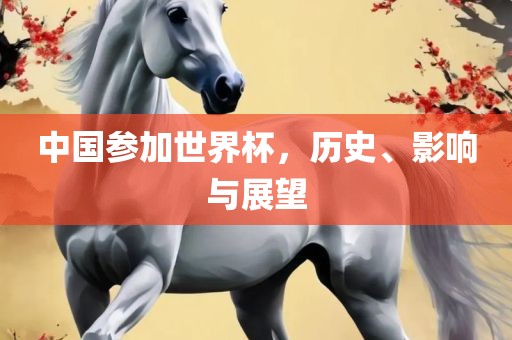 中国参加世界杯，历史、影响与展望