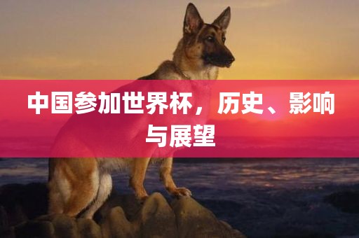 中国参加世界杯，历史、影响与展望