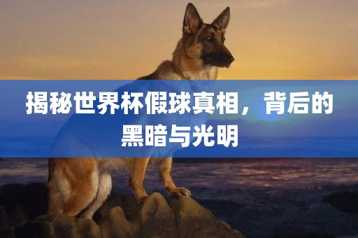 揭秘世界杯假球真相，背后的黑暗与光明