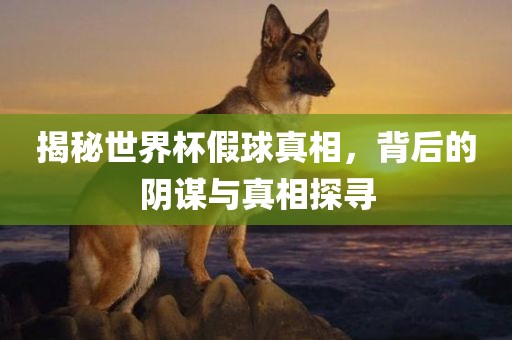 揭秘世界杯假球真相，背后的阴谋与真相探寻