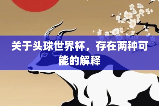 关于头球世界杯，存在两种可能的解释