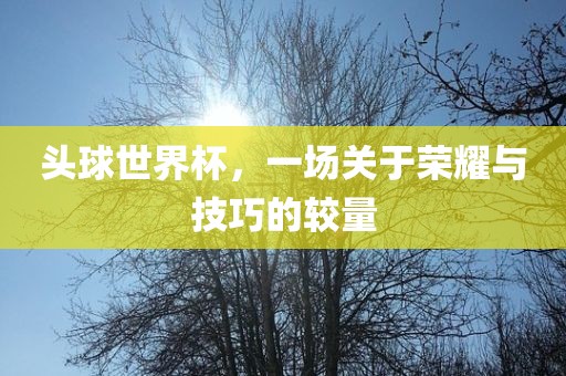 头球世界杯，一场关于荣耀与技巧的较量