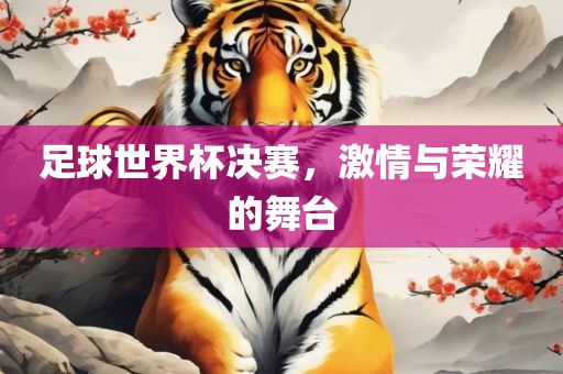 足球世界杯决赛，激情与荣耀的舞台