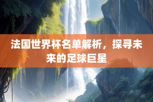 法国世界杯名单解析，探寻未来的足球巨星