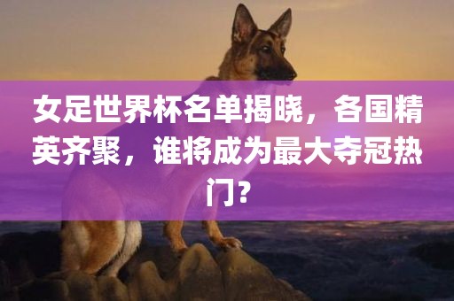 女足世界杯名单揭晓,各国精英齐聚,谁将成为最大夺冠热门?