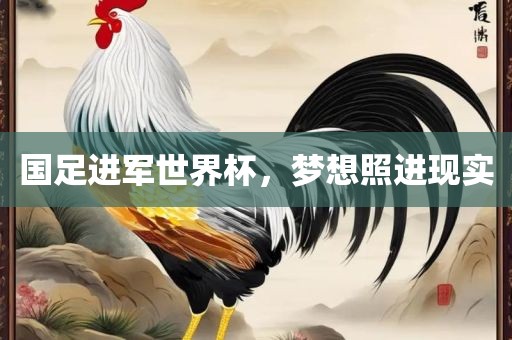 国足进军世界杯，梦想照进现实