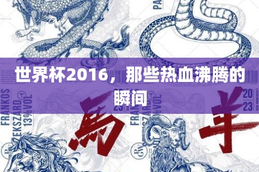 世界杯2016，那些热血沸腾的瞬间