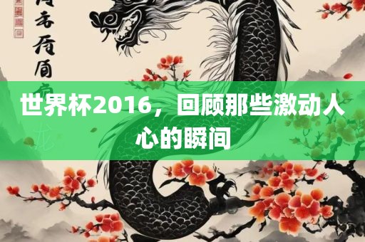 世界杯2016，回顾那些激动人心的瞬间