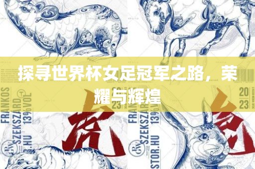 探寻世界杯女足冠军之路，荣耀与辉煌