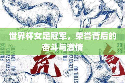世界杯女足冠军，荣誉背后的奋斗与激情