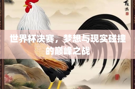 世界杯决赛，梦想与现实碰撞的巅峰之战