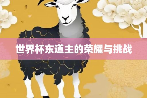 世界杯东道主的荣耀与挑战