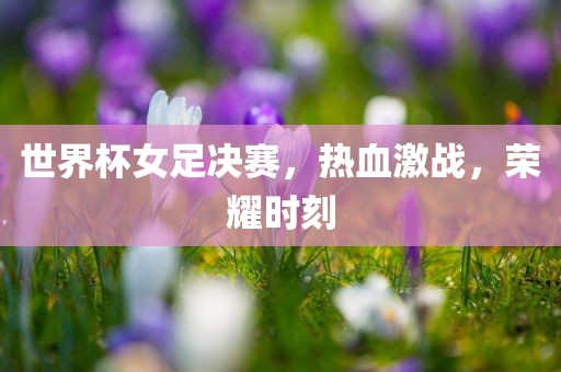 世界杯女足决赛，热血激战，荣耀时刻
