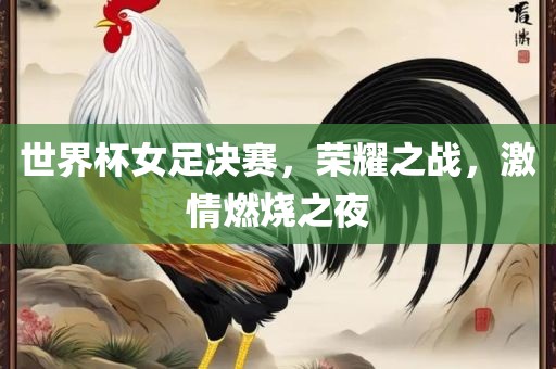 世界杯女足决赛，荣耀之战，激情燃烧之夜