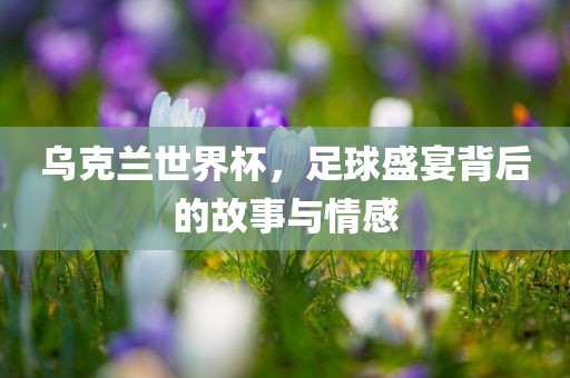乌克兰世界杯，足球盛宴背后的故事与情感