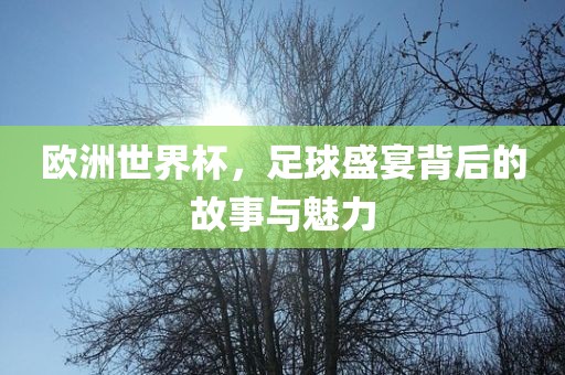 欧洲世界杯，足球盛宴背后的故事与魅力